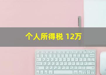 个人所得税 12万